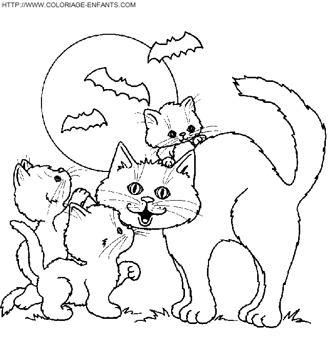 coloriage chats