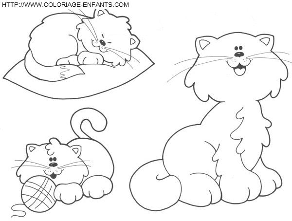 coloriage chats