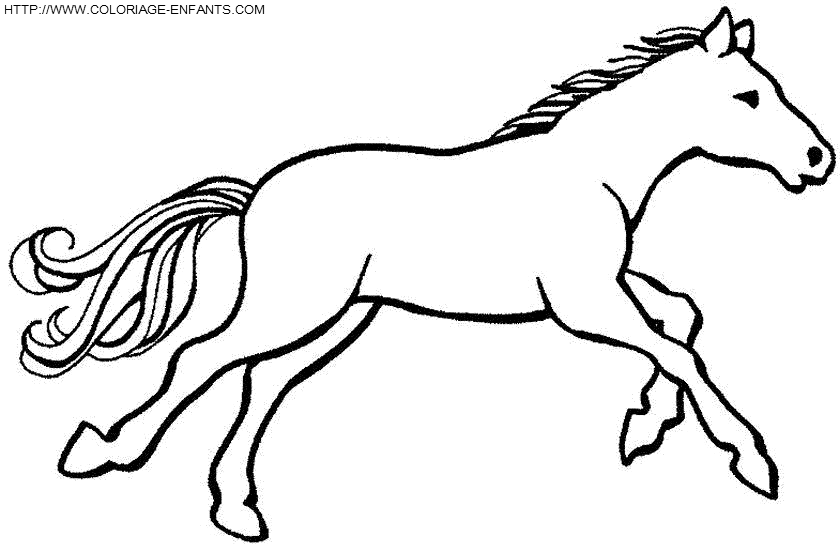 coloriage cheval au galop