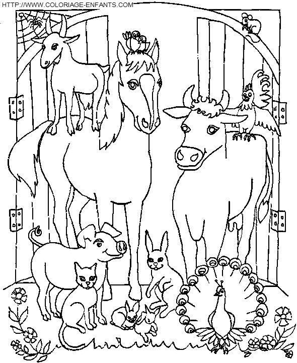 coloriage cheval avec ses amis