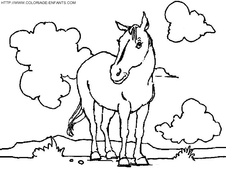 coloriage cheval dans les pres