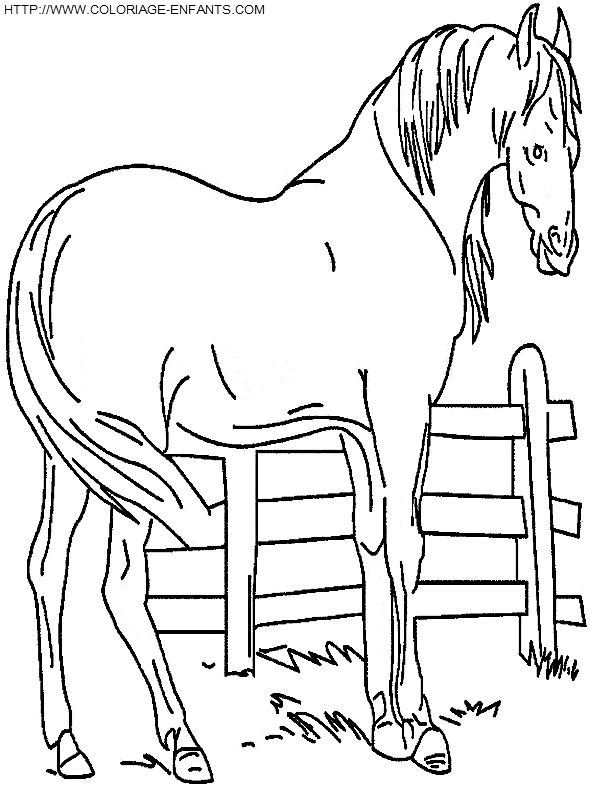 coloriage cheval dans son enclos