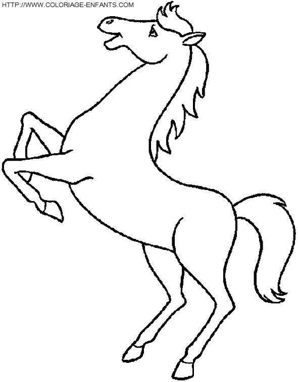 coloriage cheval fait le beau