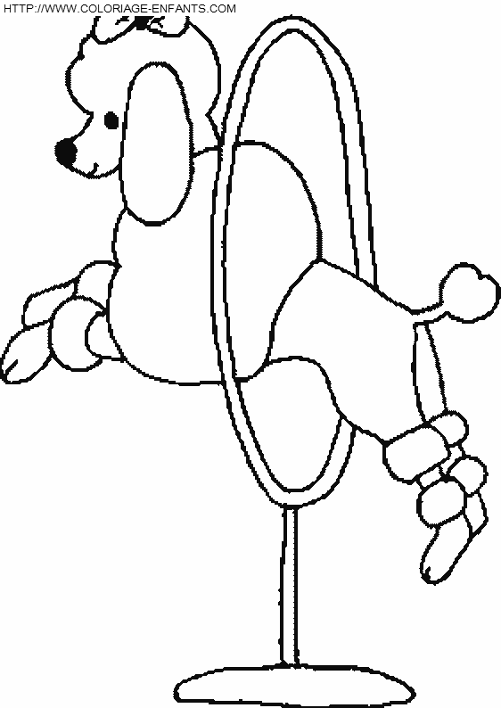 coloriage cirque caniche sautant