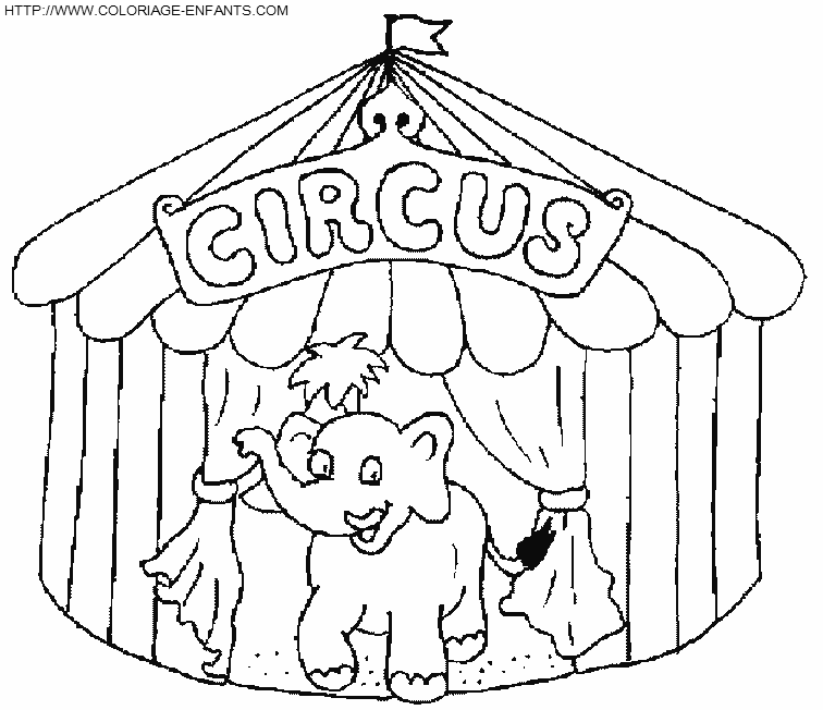 Coloriage Adulte - Éléphant Dans Le Cirque Avec Des Accessoires De