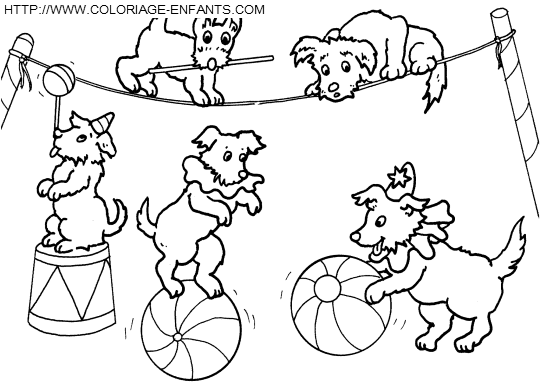 coloriage cirque chiens savants