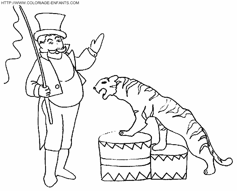 coloriage cirque dompteur avec un tigre