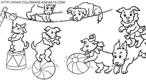 coloriage cirque petits chiens savants