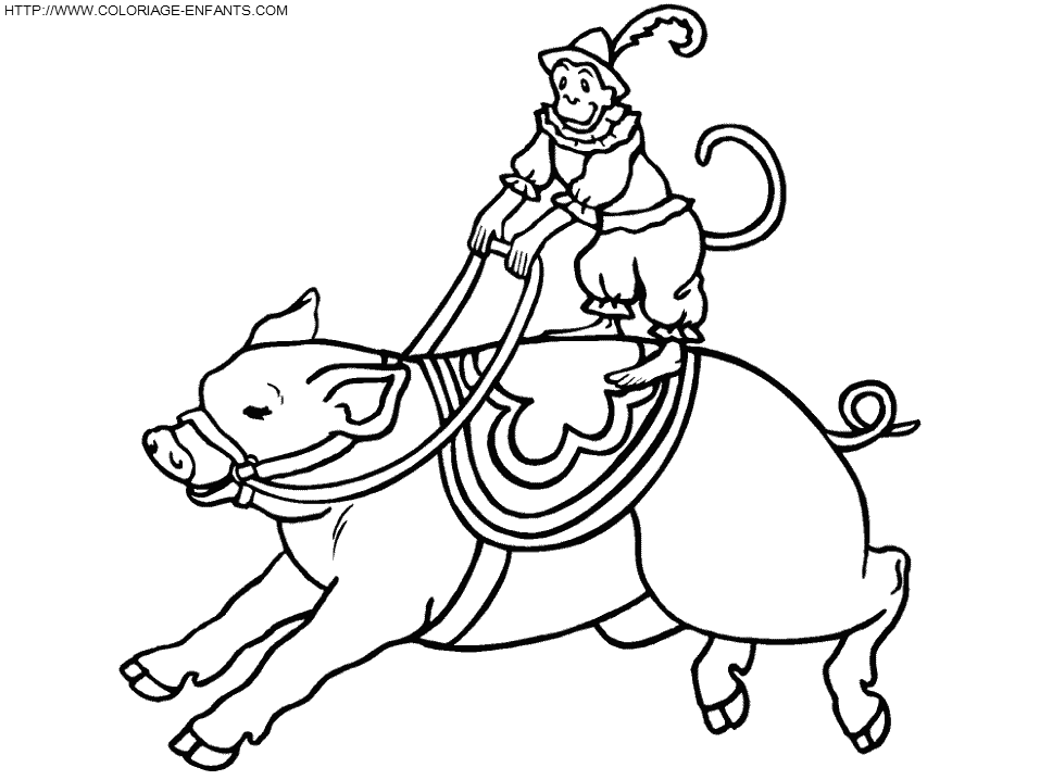 coloriage cirque singe chevauchant un cochon