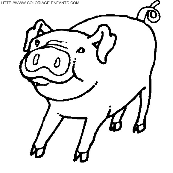 coloriage cochons