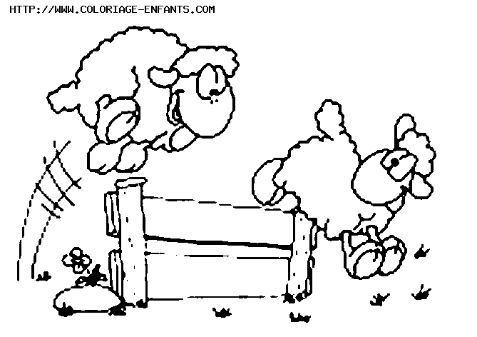 coloriage wollywell