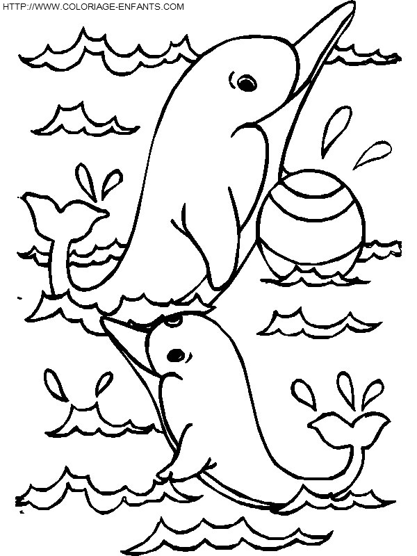 coloriage dauphins