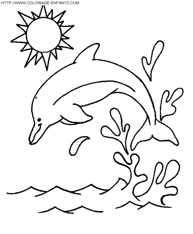 coloriage dauphins