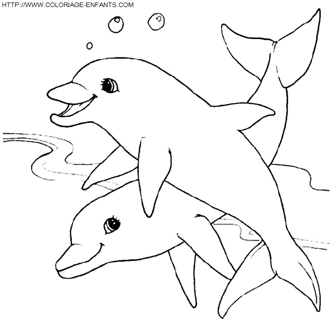 coloriage dauphins