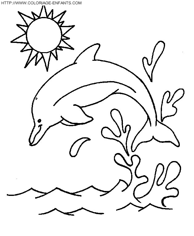 coloriage dauphins