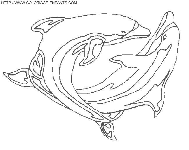 coloriage dauphins