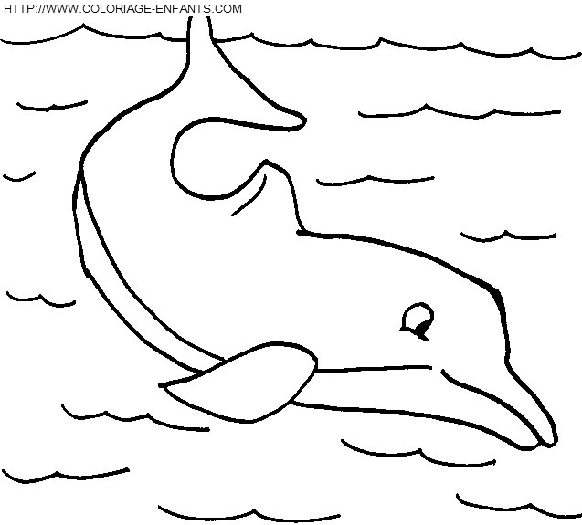 coloriage dauphins