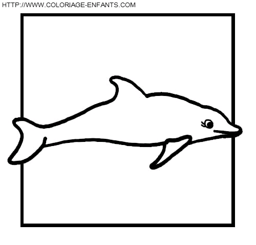 coloriage dauphins