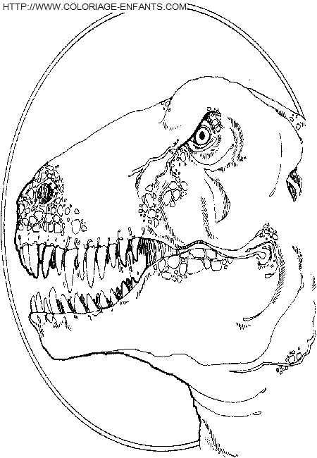 coloriage dinosaure jurassic park