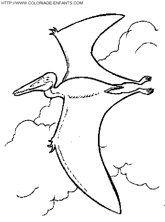 coloriage dinosaure pterodactyle