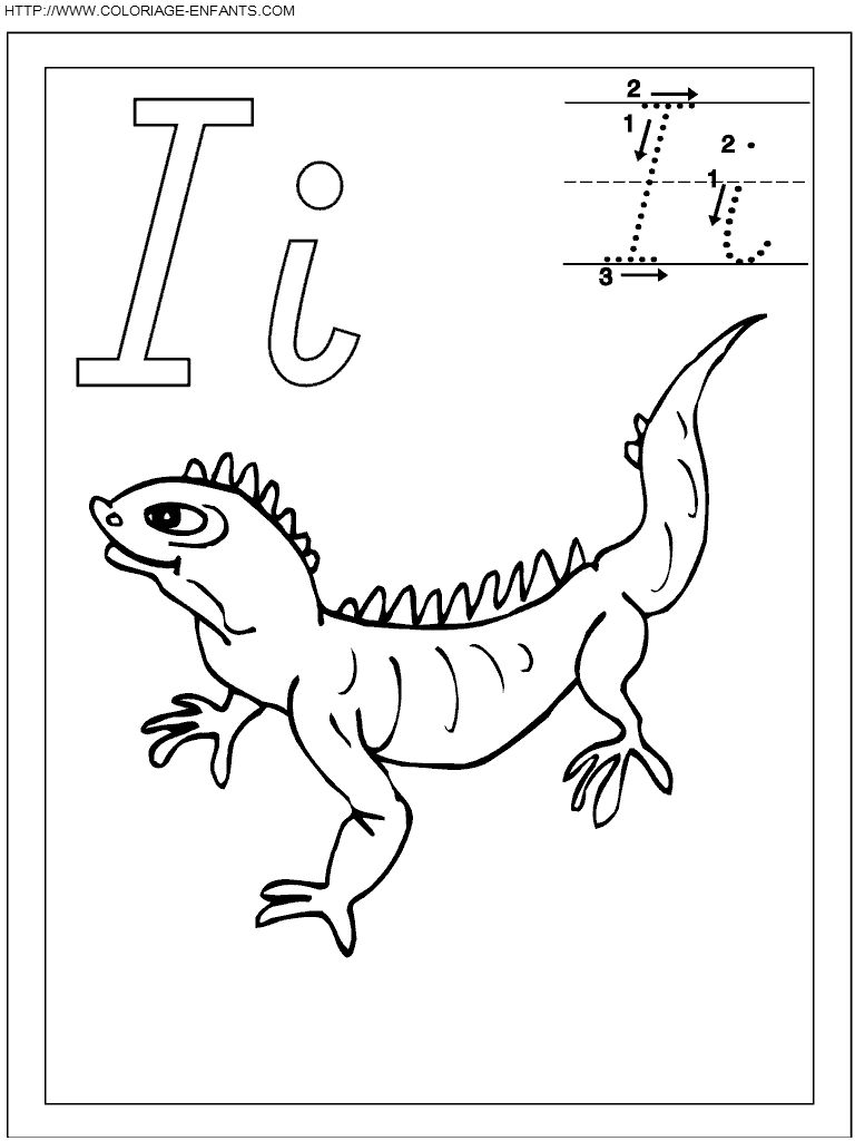 coloriage ecriture 1 lettre i comme iguane