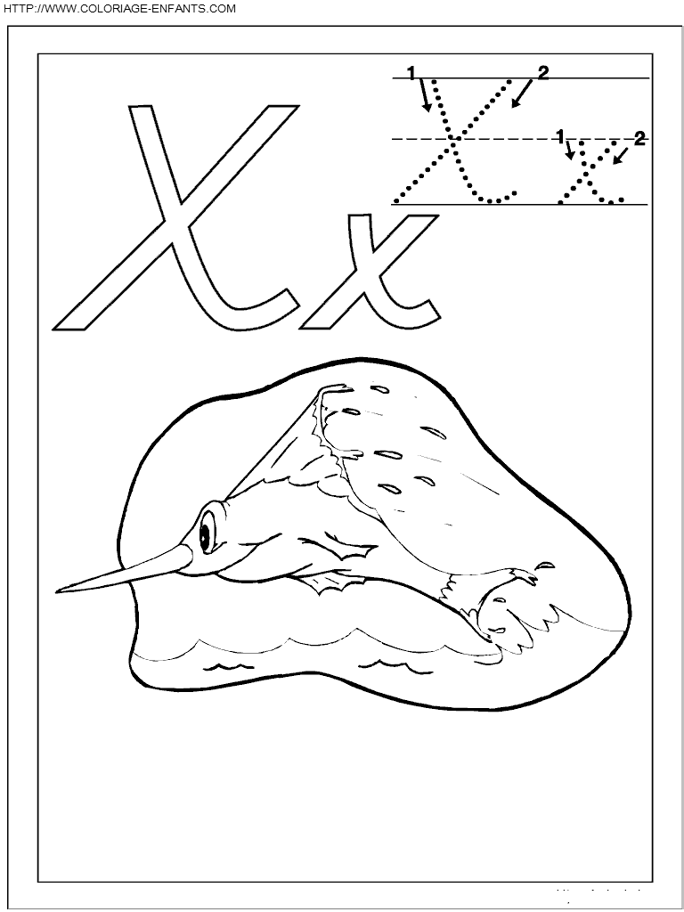 coloriage ecriture 1 lettre x comme xiphias