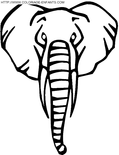 coloriage elephants