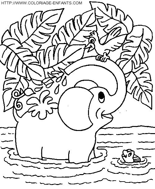 coloriage elephants