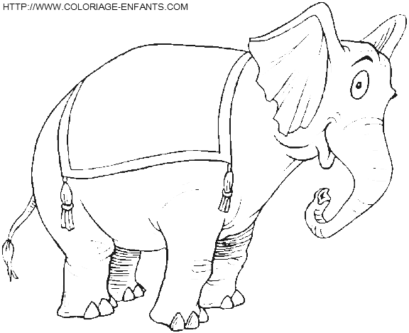 coloriage elephants