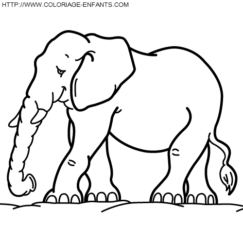 coloriage elephants