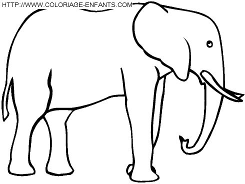 coloriage elephants