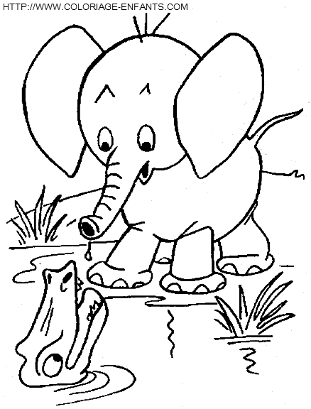 coloriage elephants