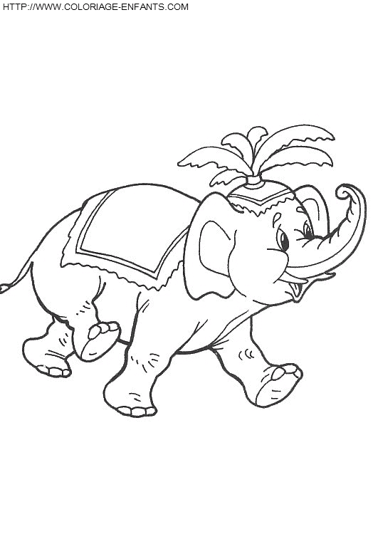 coloriage elephants