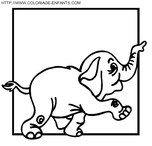 coloriage elephants