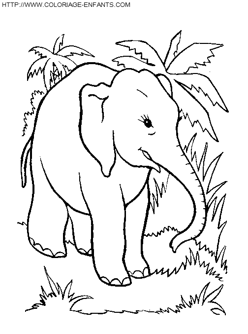 coloriage elephants