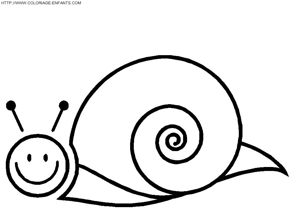 coloriage escargots