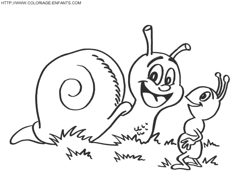 coloriage escargots