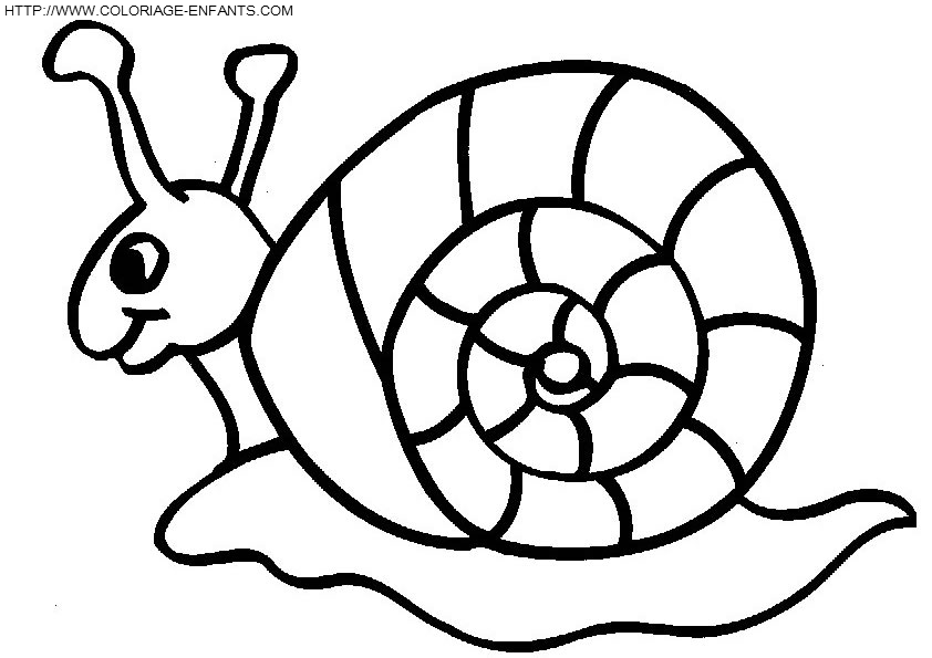 coloriage escargots