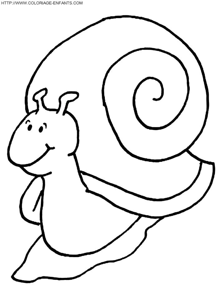 coloriage escargots