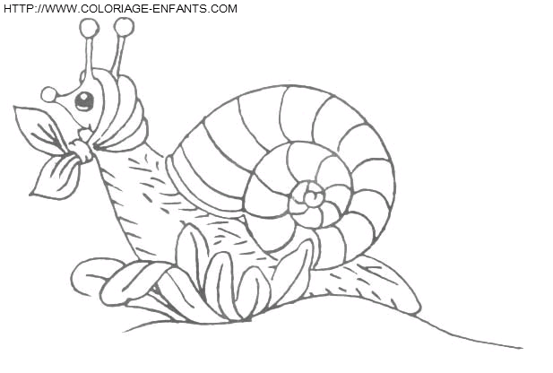 coloriage escargots