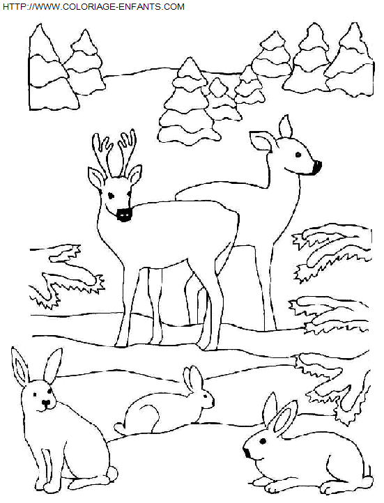 coloriage Fetes Noel Animaux