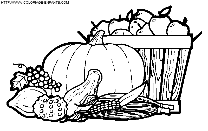 coloriage thanksgiving