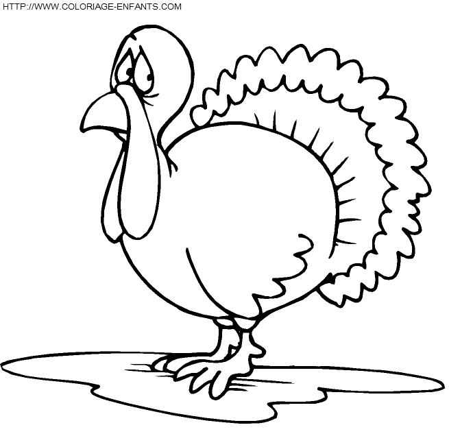 coloriage thanksgiving