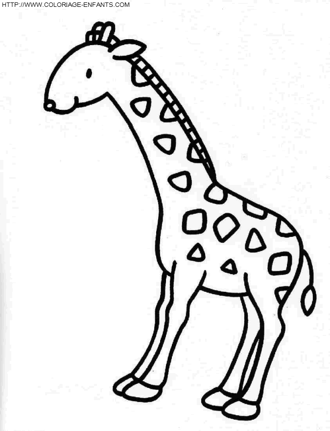 coloriage girafes