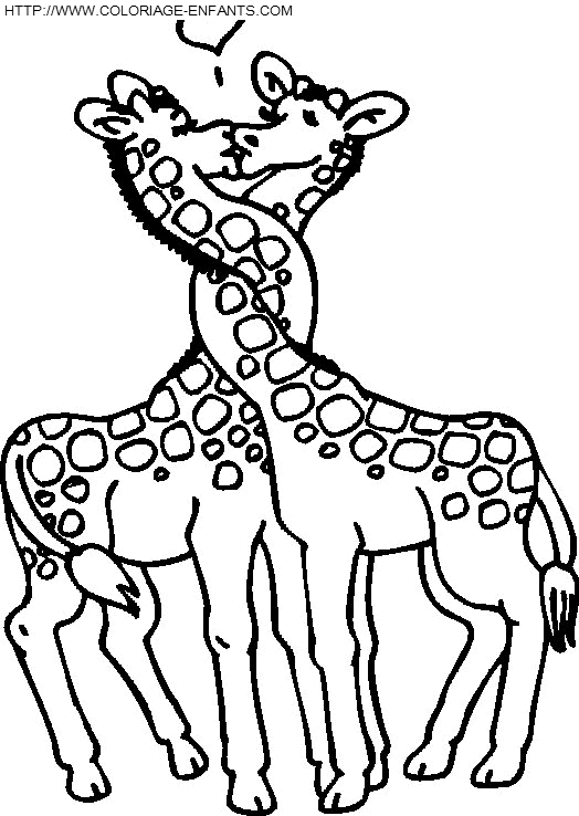 coloriage girafes