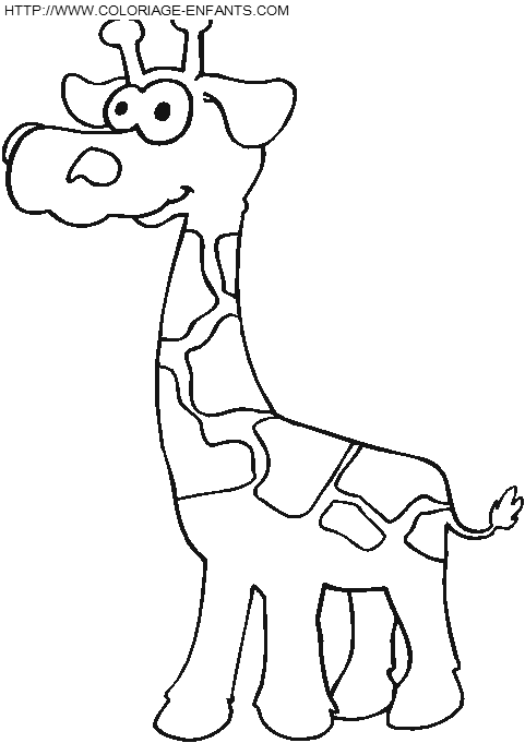 coloriage girafes