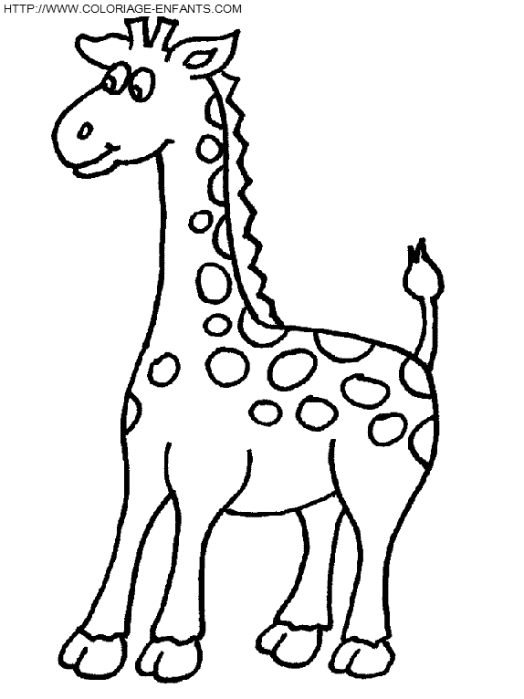 coloriage girafes