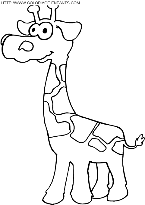 coloriage girafes