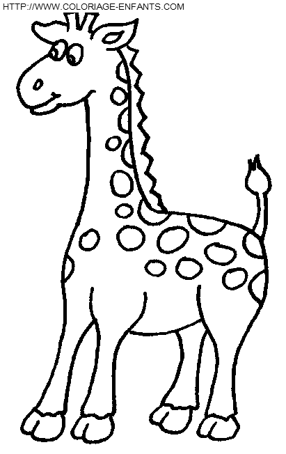 coloriage girafes