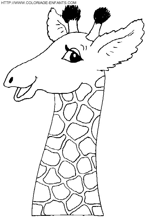 coloriage girafes